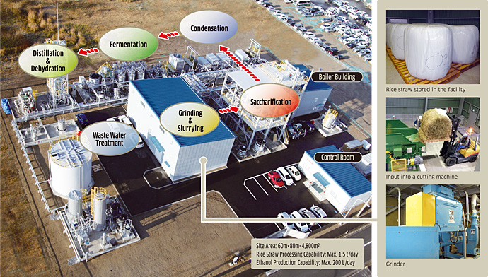 Biofuel production system