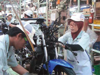 Women employees wearing a headscarf